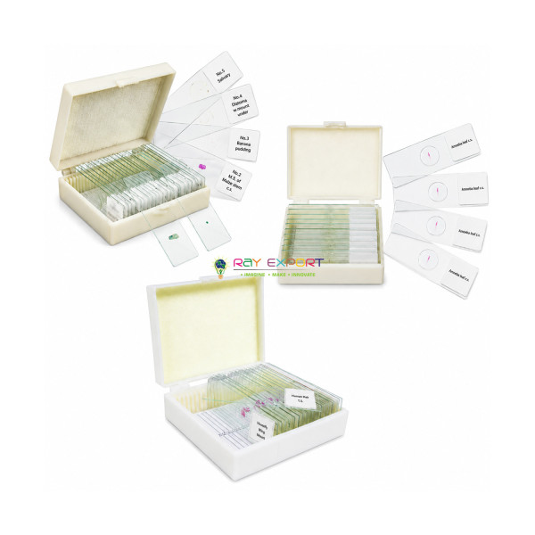 Set of Microscope Slides
