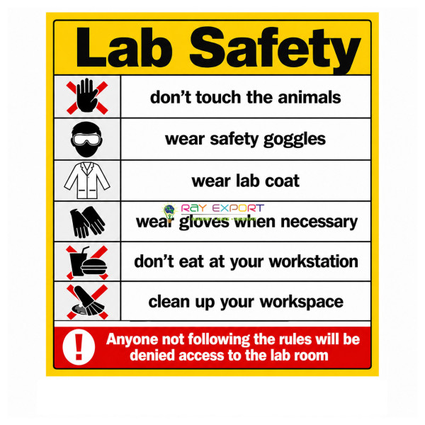 Safety Rules in The Laboratory