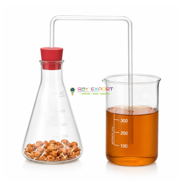 Germinating Seed Respiration Demonstration Kit