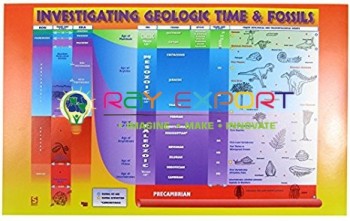Investigating Geological Time And Fossils Chart
