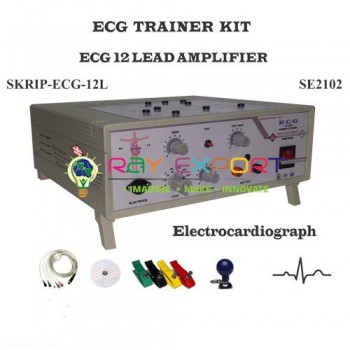 12 Lead Real Time ECG Trainer For Bio Medical Teaching Labs
