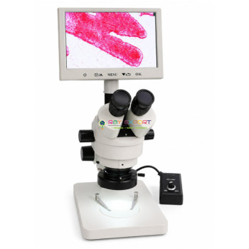 Digital Microscope