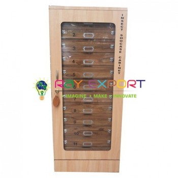 Insect Showcase Cabinet