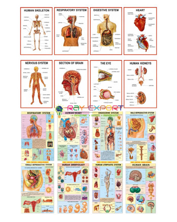 Teaching Boards