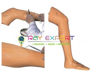 Suture Leg Advanced, Surgical