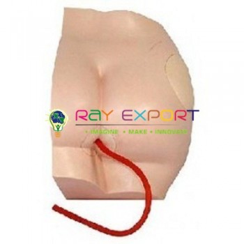 Buttock Injection Model