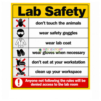 Safety Rules in The Laboratory