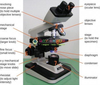 Monocular Research Microscope, Coaxial Focussing 45°