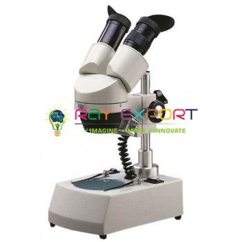 Inclined Stereo Microscope, Basic