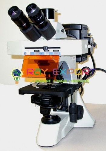 Fluorescent Microscope, Research