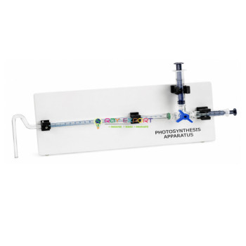 Apparatus for Photosynthesis