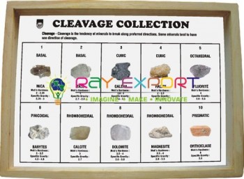 Cleavage Collection, Set of 10