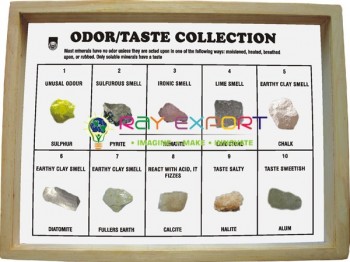 Odor/Taste Collection, Set of 10