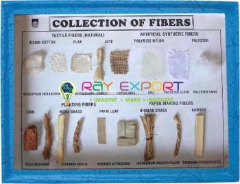 Collection of Fibers