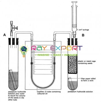 Respirometer Simple For Biology Lab