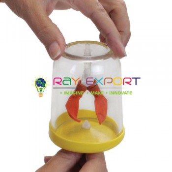 Lung Demonstration Apparatus For Physics Lab