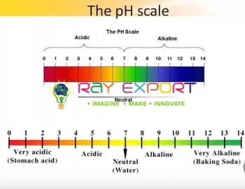 pH Meter Scale