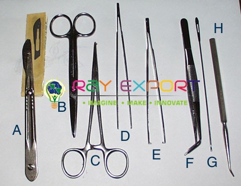Dissecting Lab Tools
