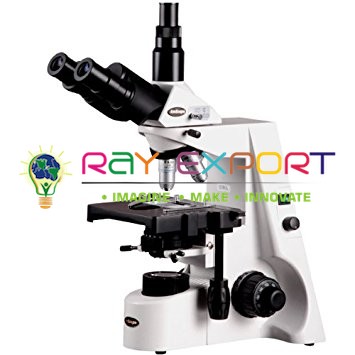 Microscopes and Slides